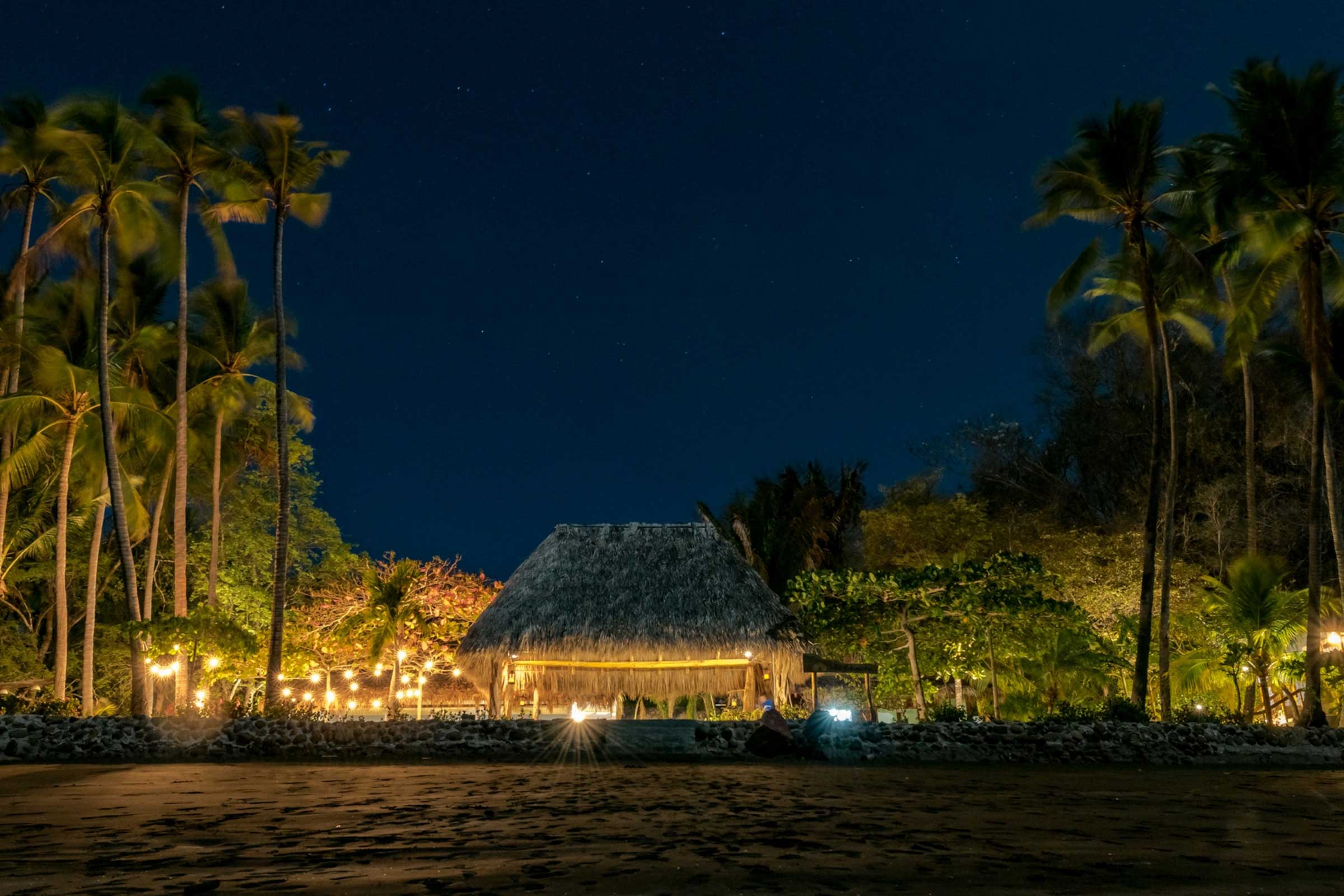 Bioluminescence image 5039