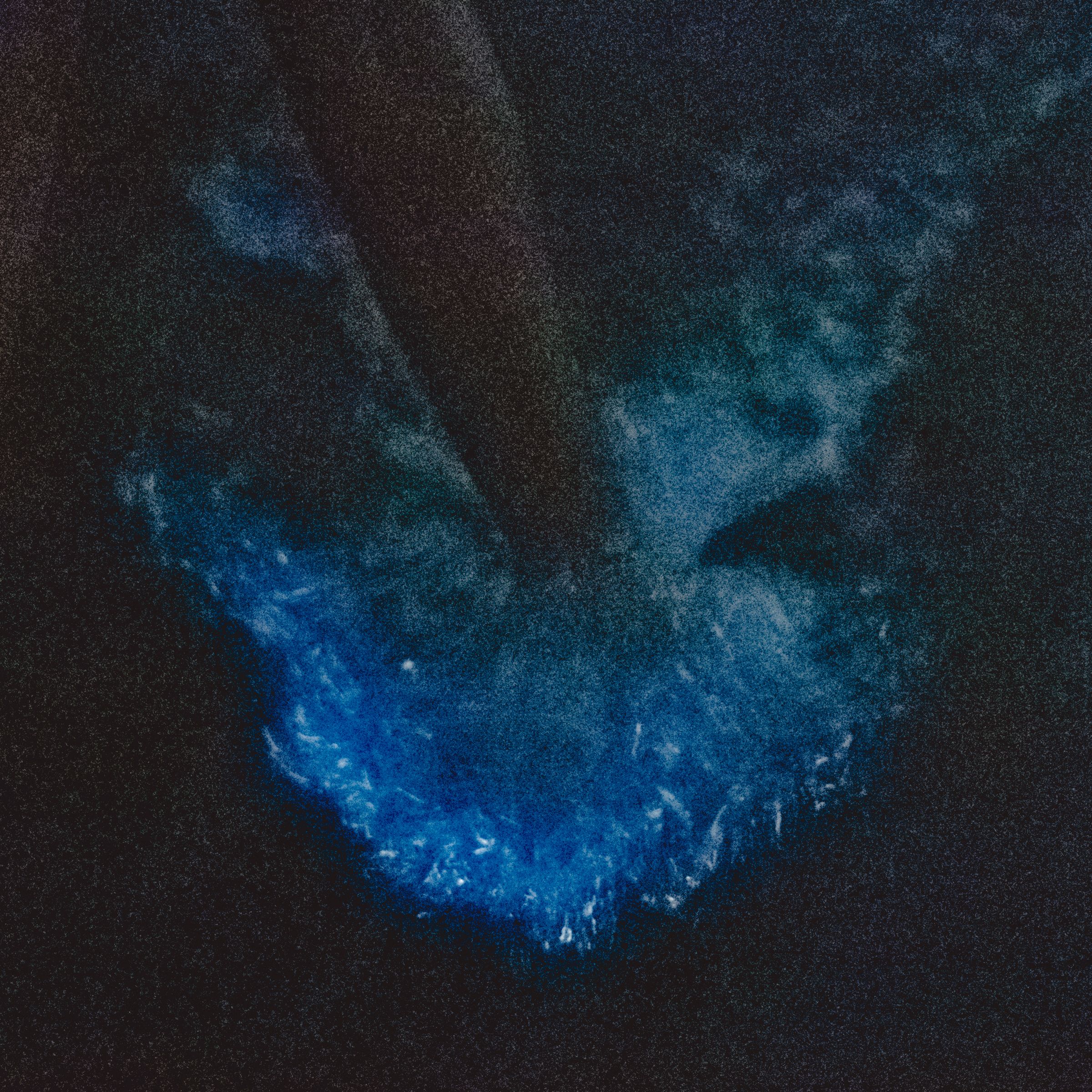 Bioluminescence image 5040