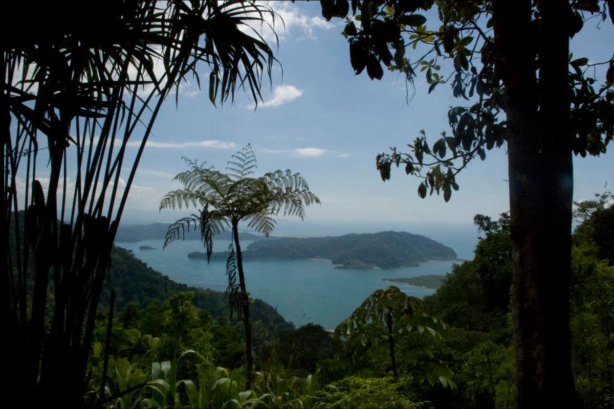 Best Places to Stay in Golfito, Costa Rica