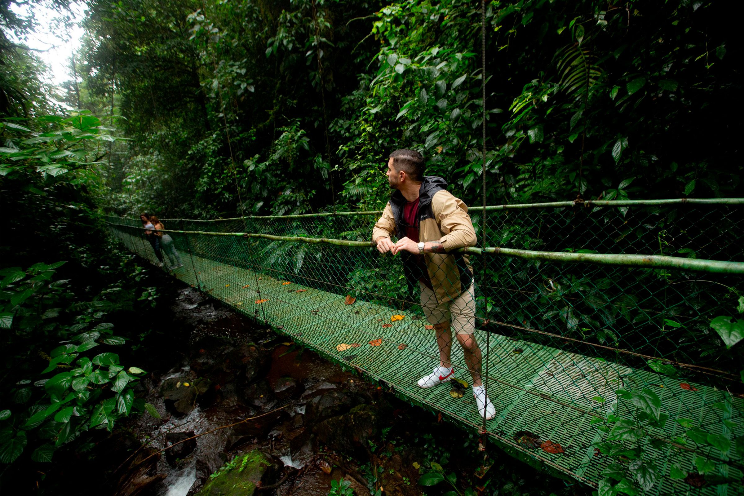 Hanging Bridges and Rainforest Trail Hike image 6630