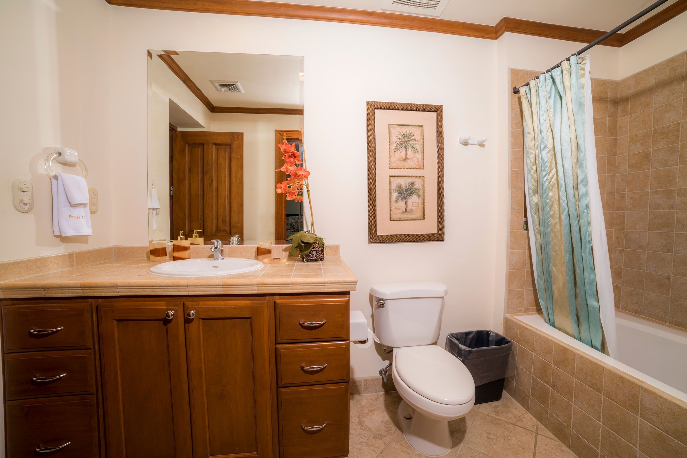 Los Sueños One-Bedroom Luxury Condos image 6983