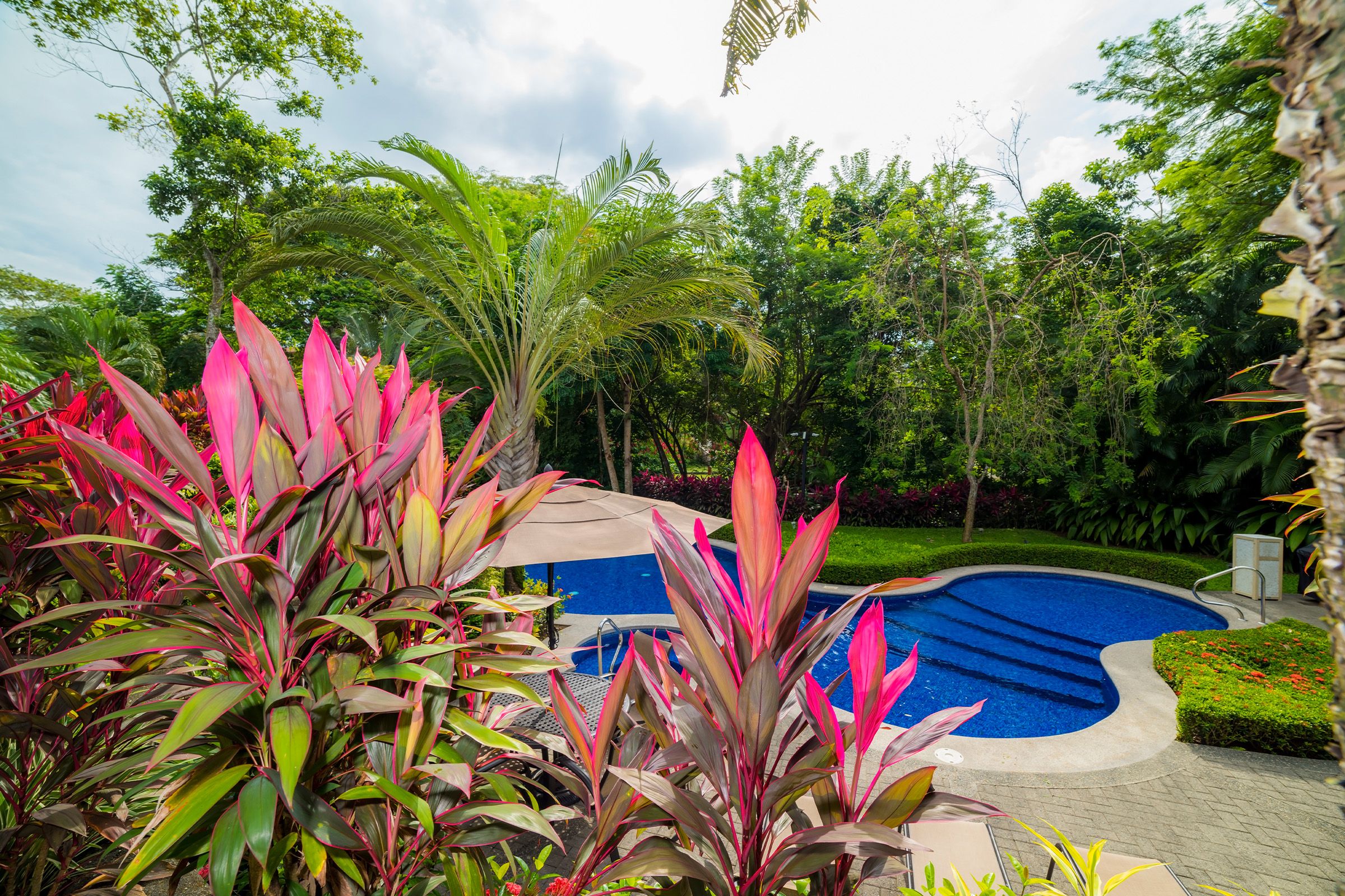 Los Sueños One-Bedroom Luxury Condos image 7015
