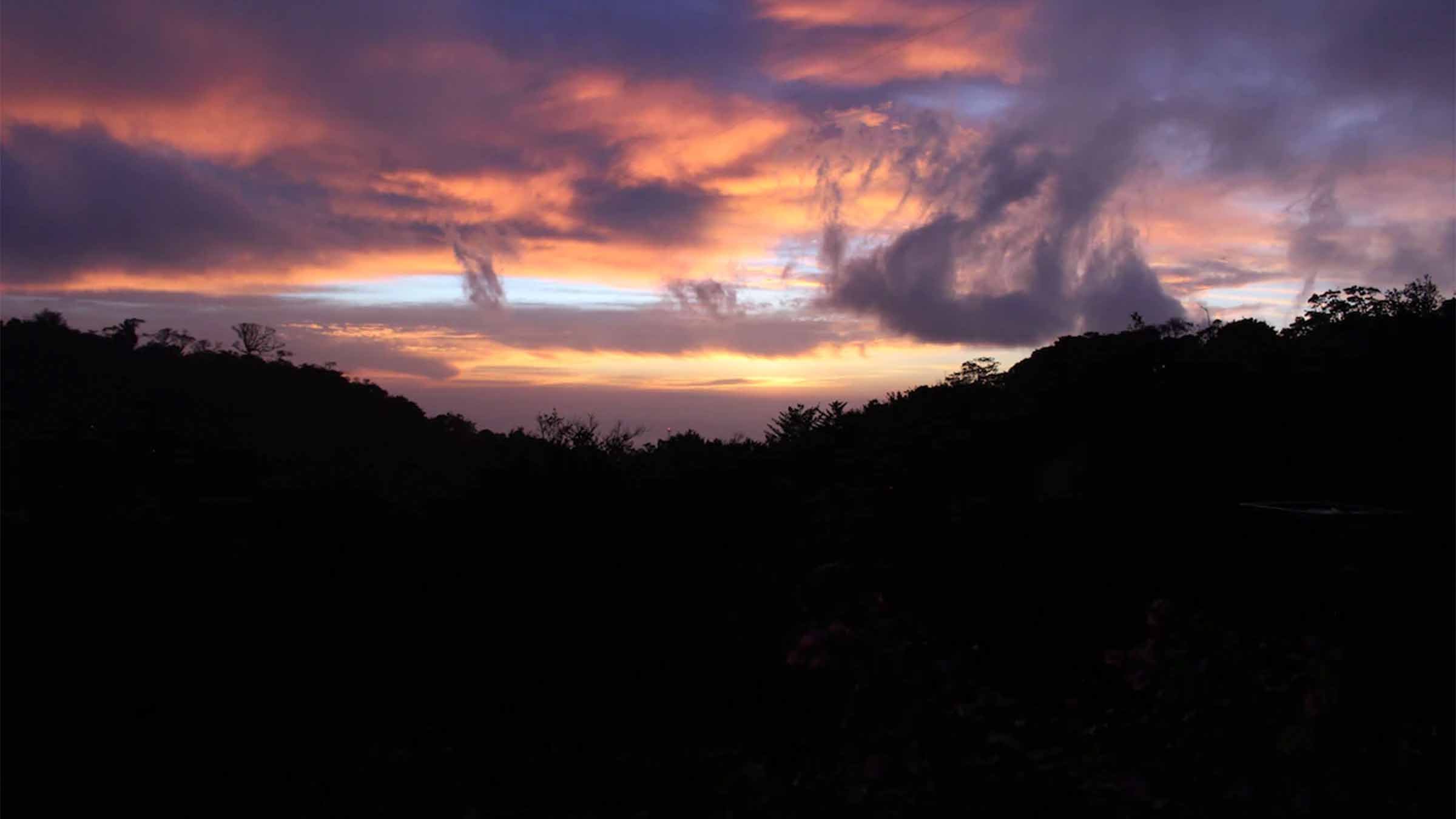 Cloud Forest Lodge image 7775