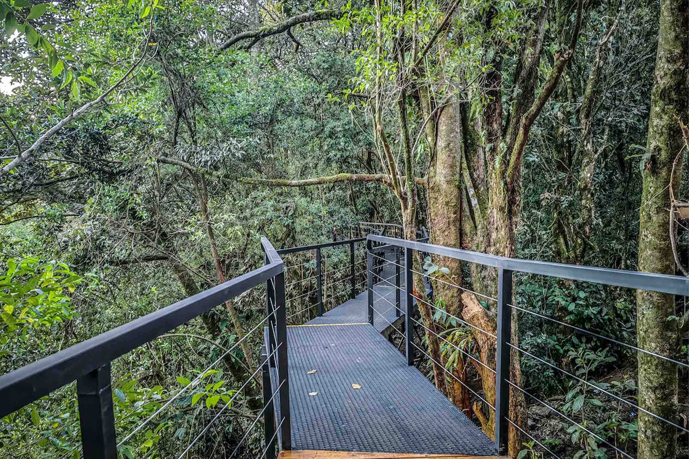 Cloud Forest Lodge image 7786