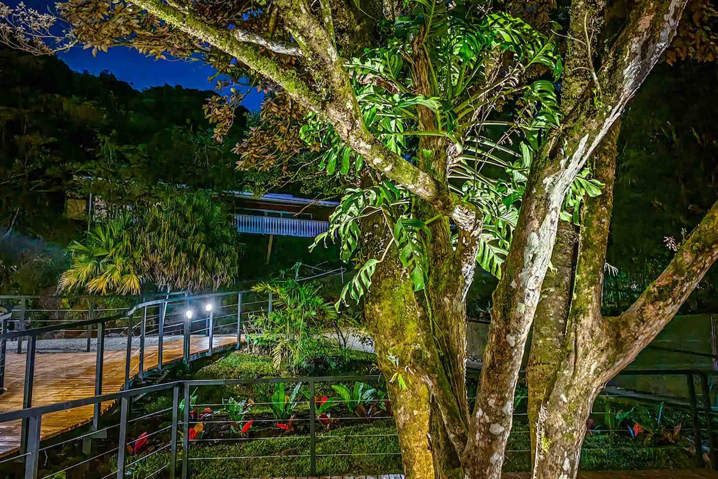Cloud Forest Lodge image 7783