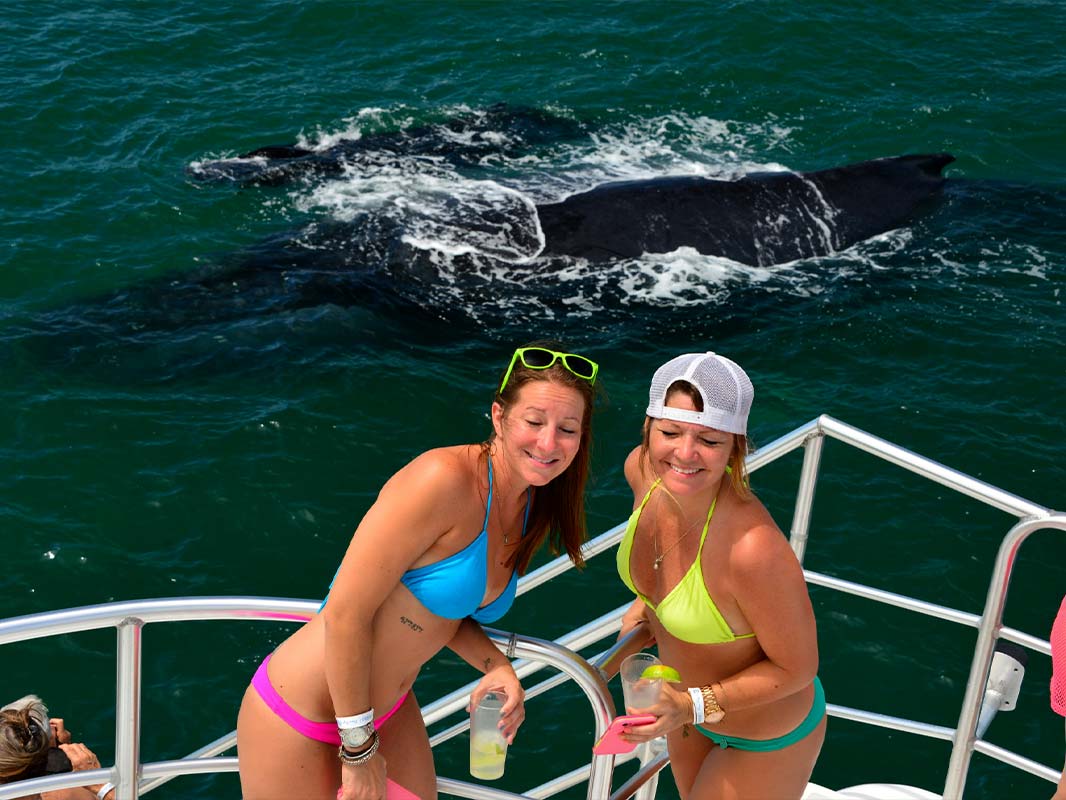 Catamaran Cruise image 8133
