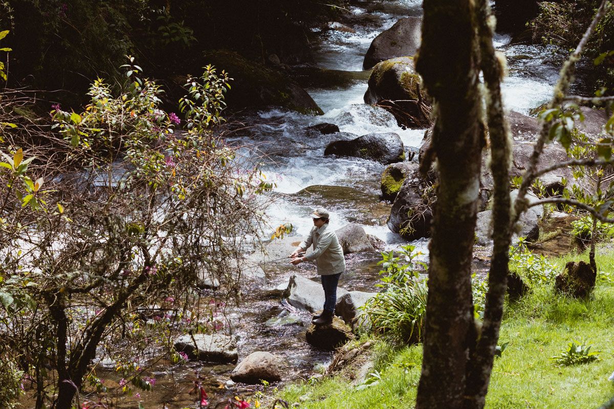 Trogon Lodge image 8222