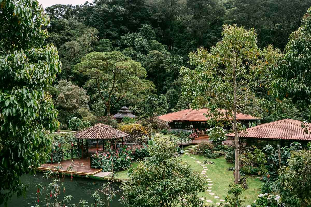 Trogon Lodge image 8225