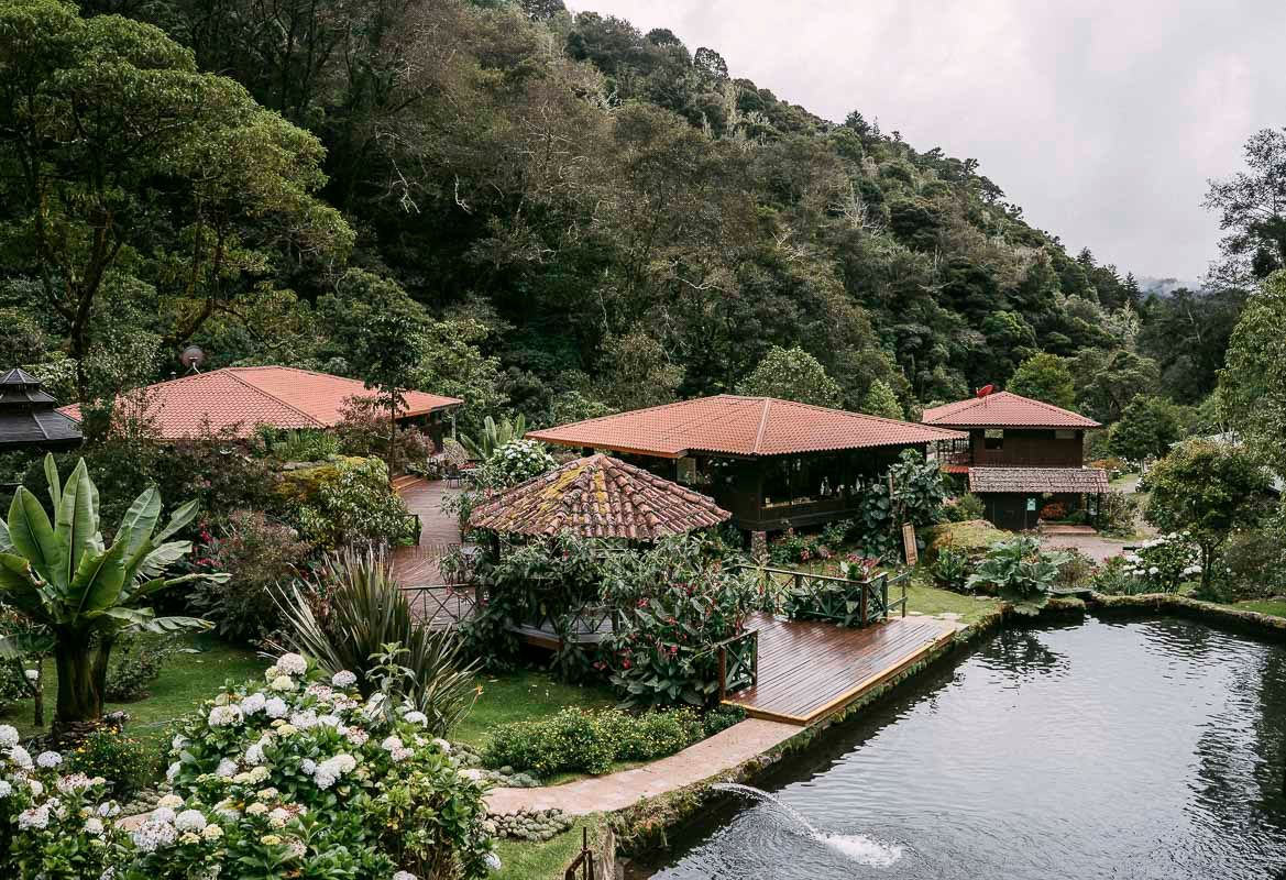 Trogon Lodge image 8224