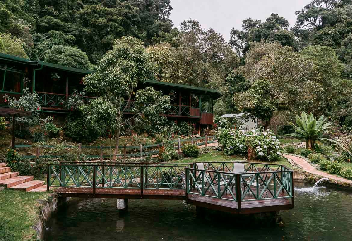 Trogon Lodge image 8220