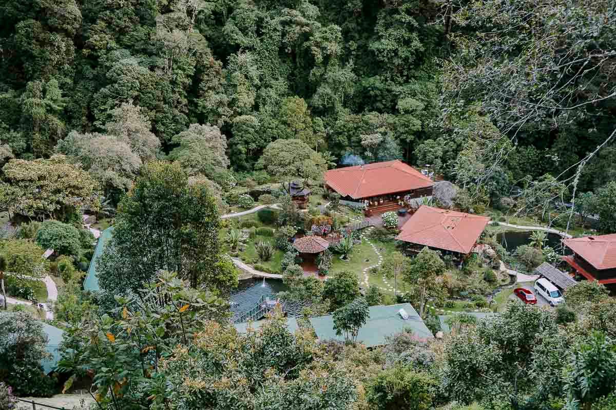 Trogon Lodge image 8229