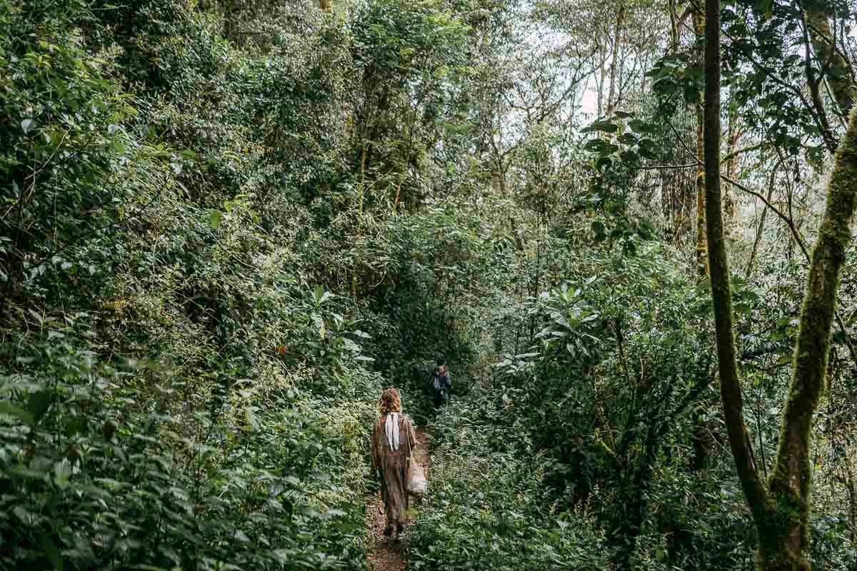 Trogon Lodge image 8227