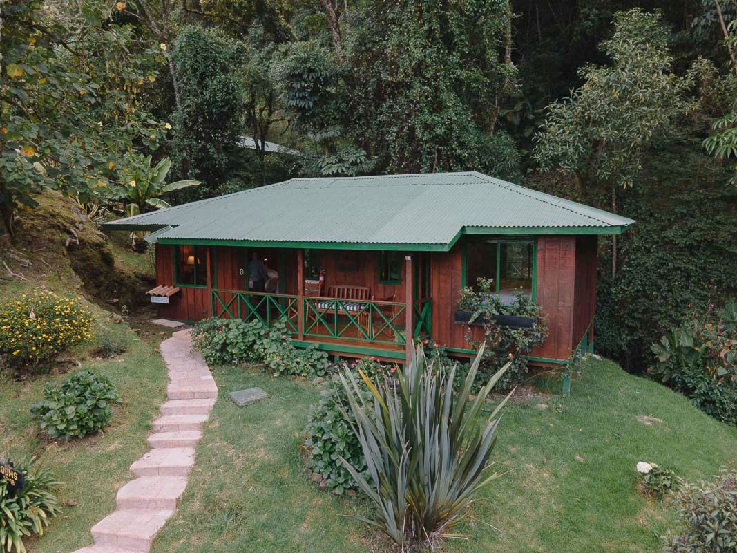 Trogon Lodge image 8233
