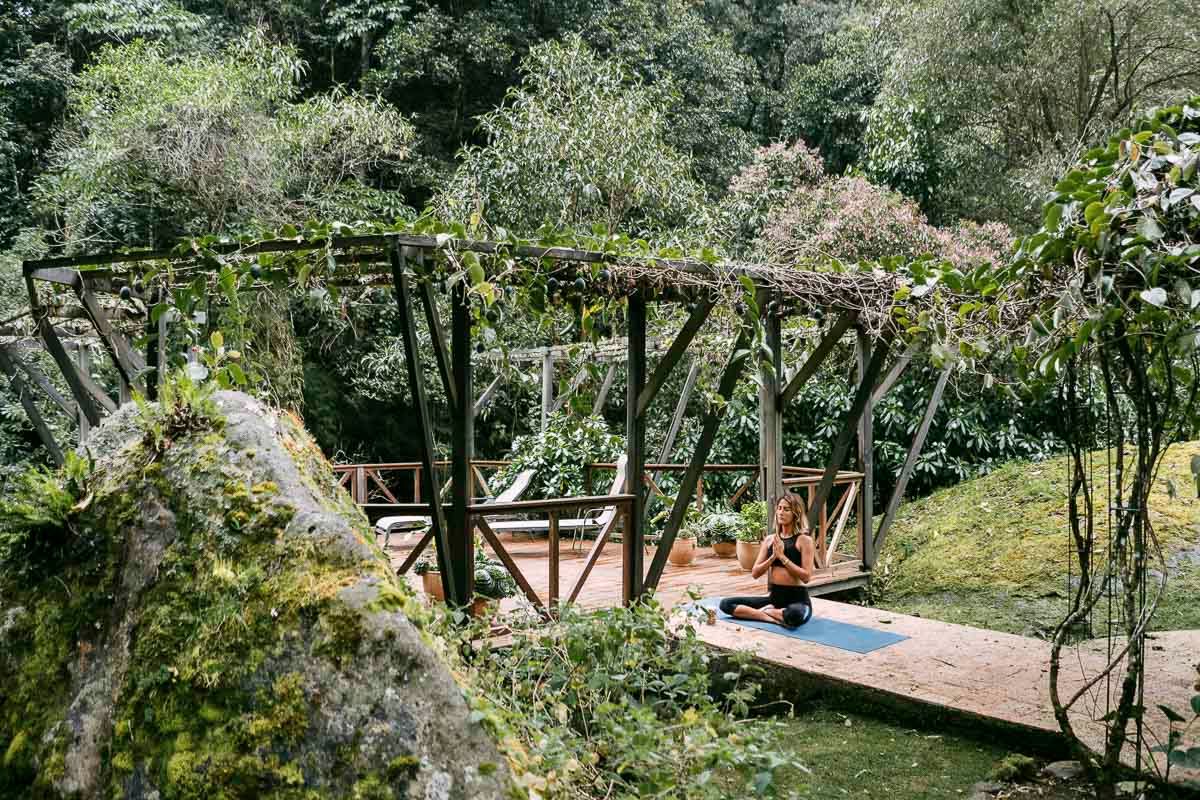 Trogon Lodge image 8230