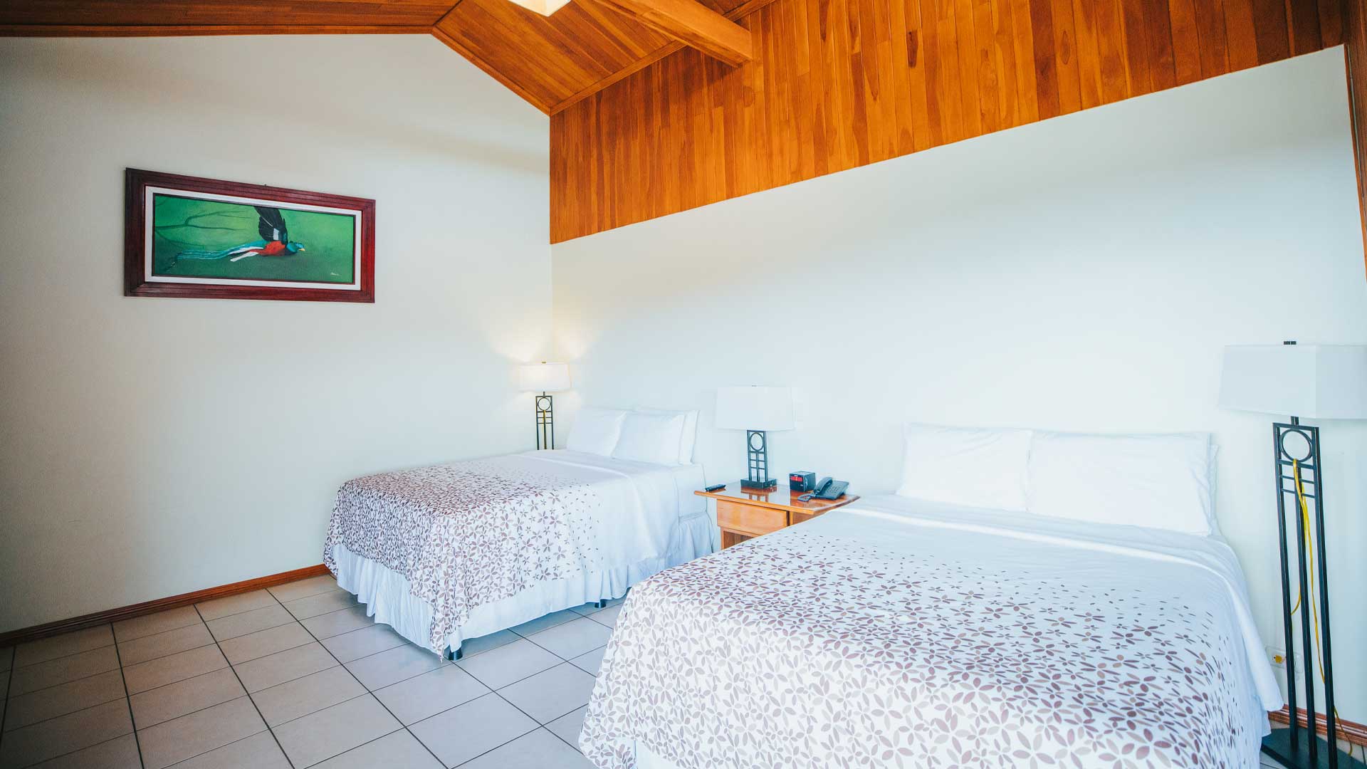 Ficus Sunset Suites image 8537