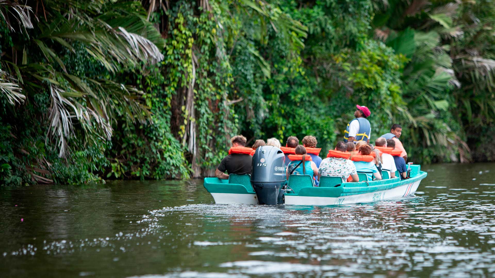 Pachira Lodge image 8635