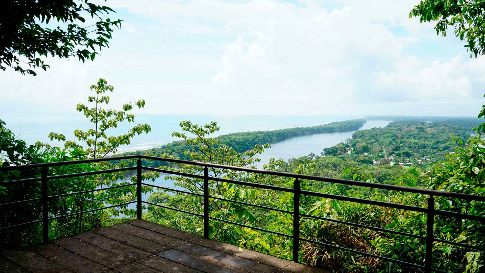 Pachira Lodge image 8638