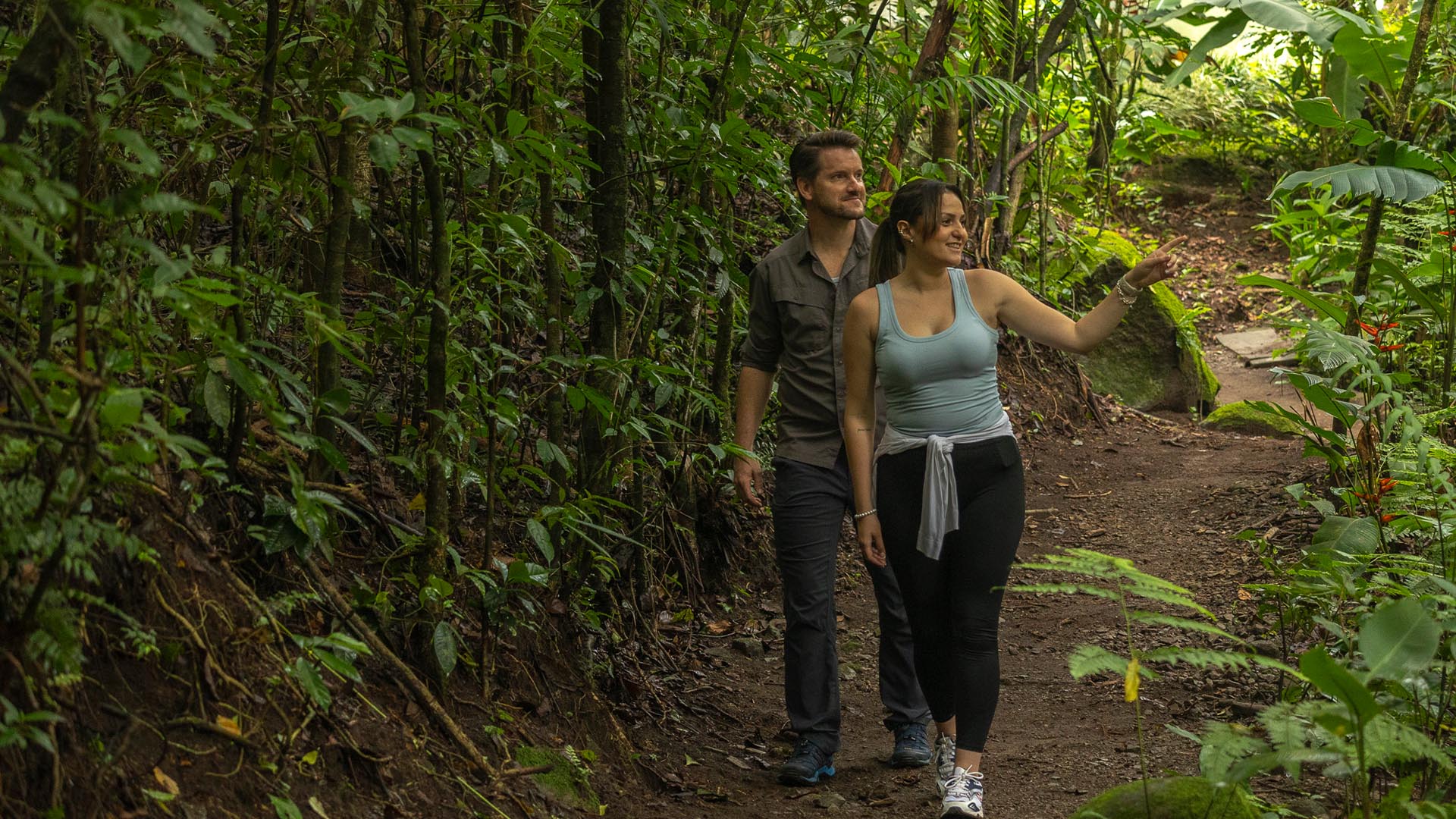 Monteverde Cloud Forest image 8674