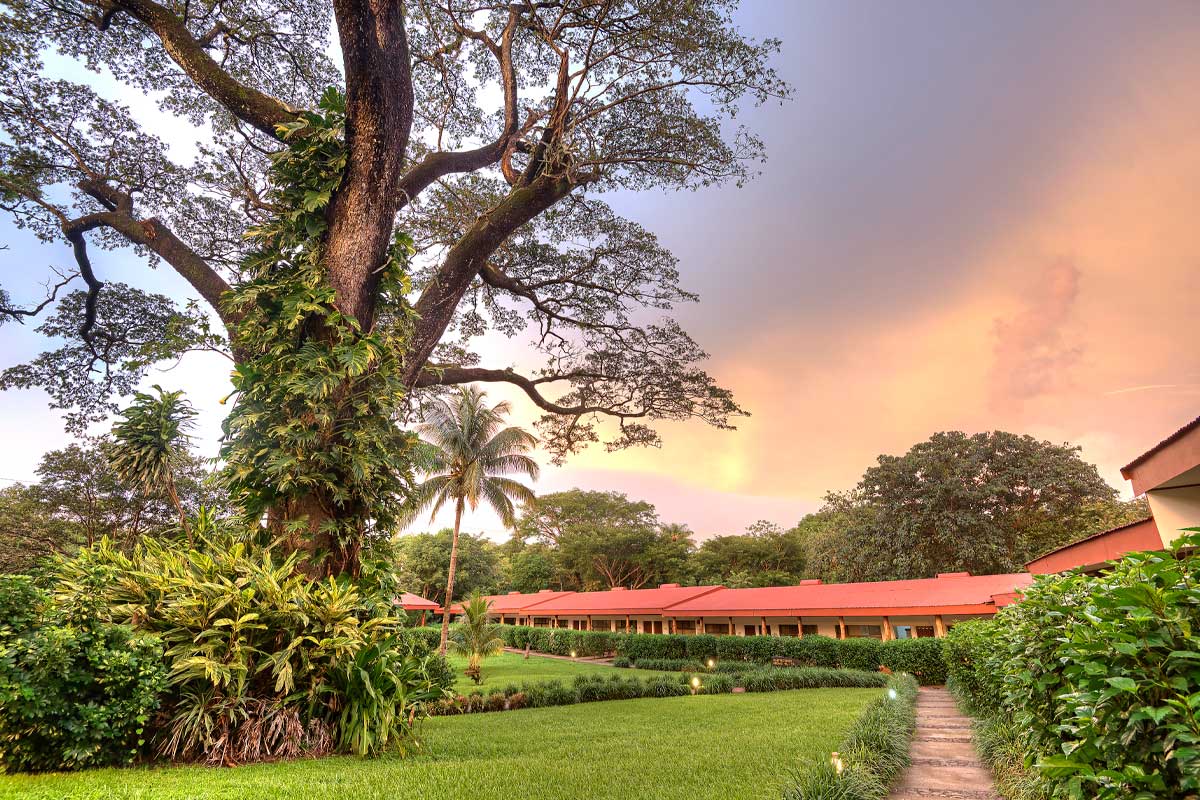 Hacienda Guachipelín image 8734