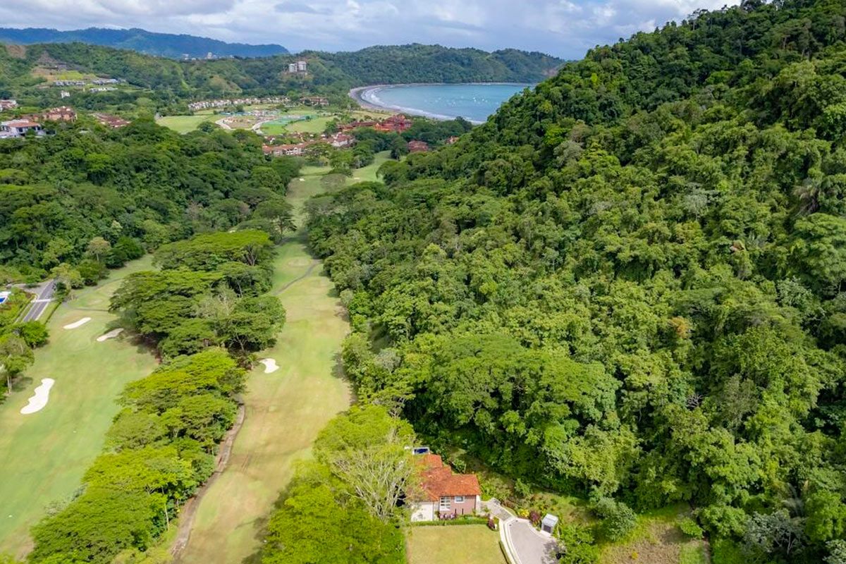 Casa Forest image 8797