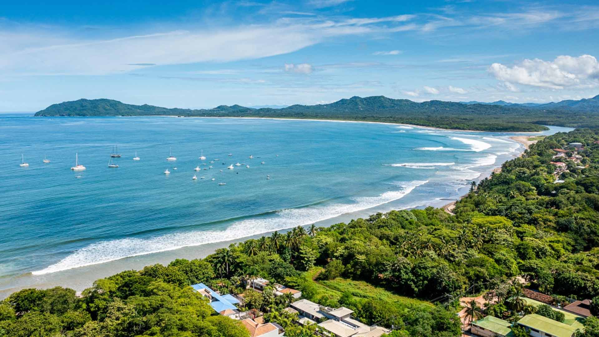 Tamarindo image 8925