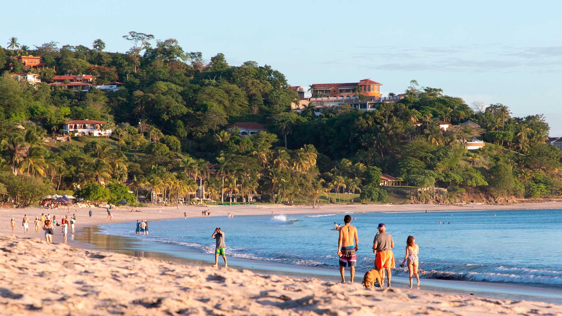 Flamingo Beach image 8946