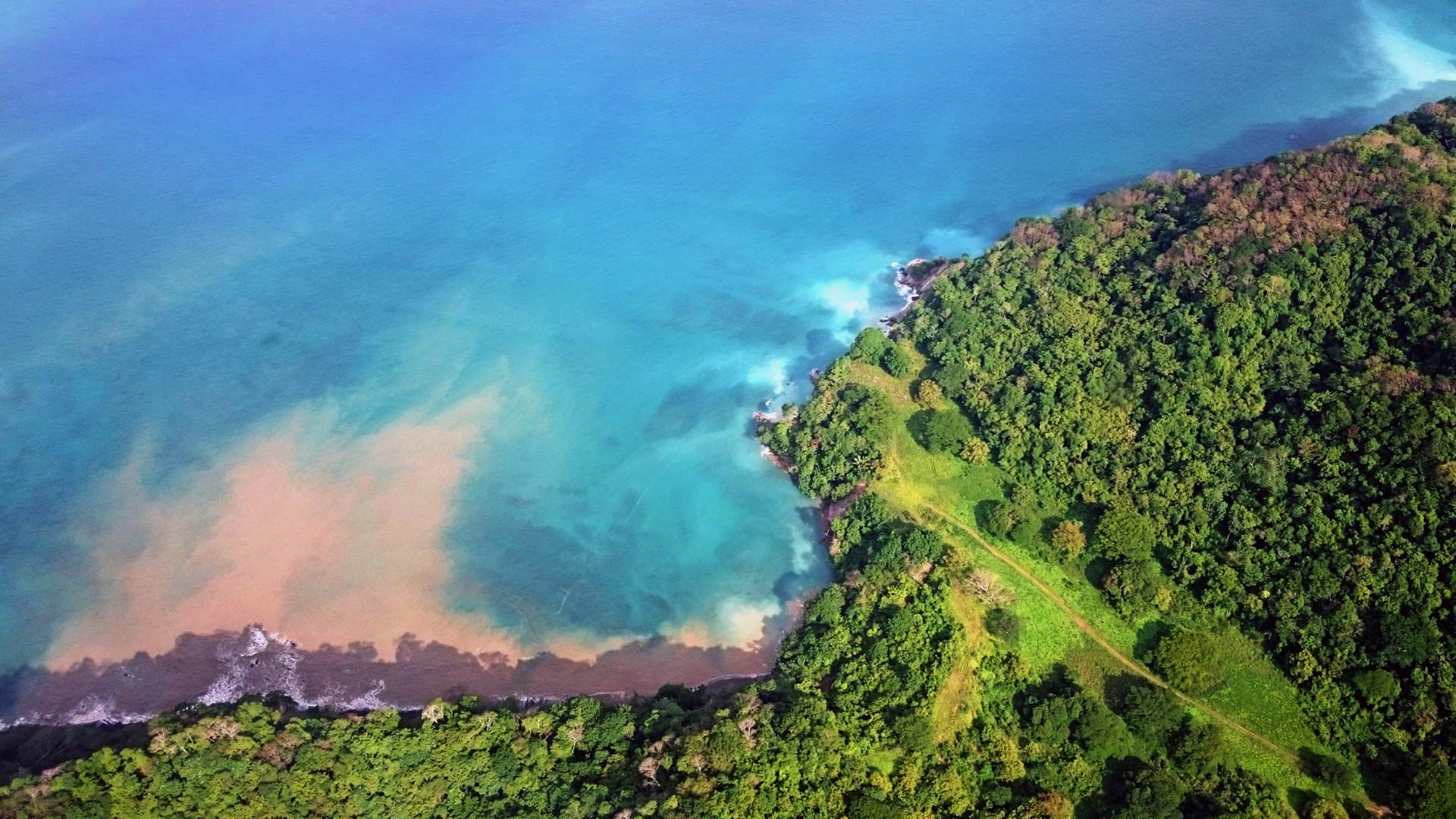 Uvita image 8951