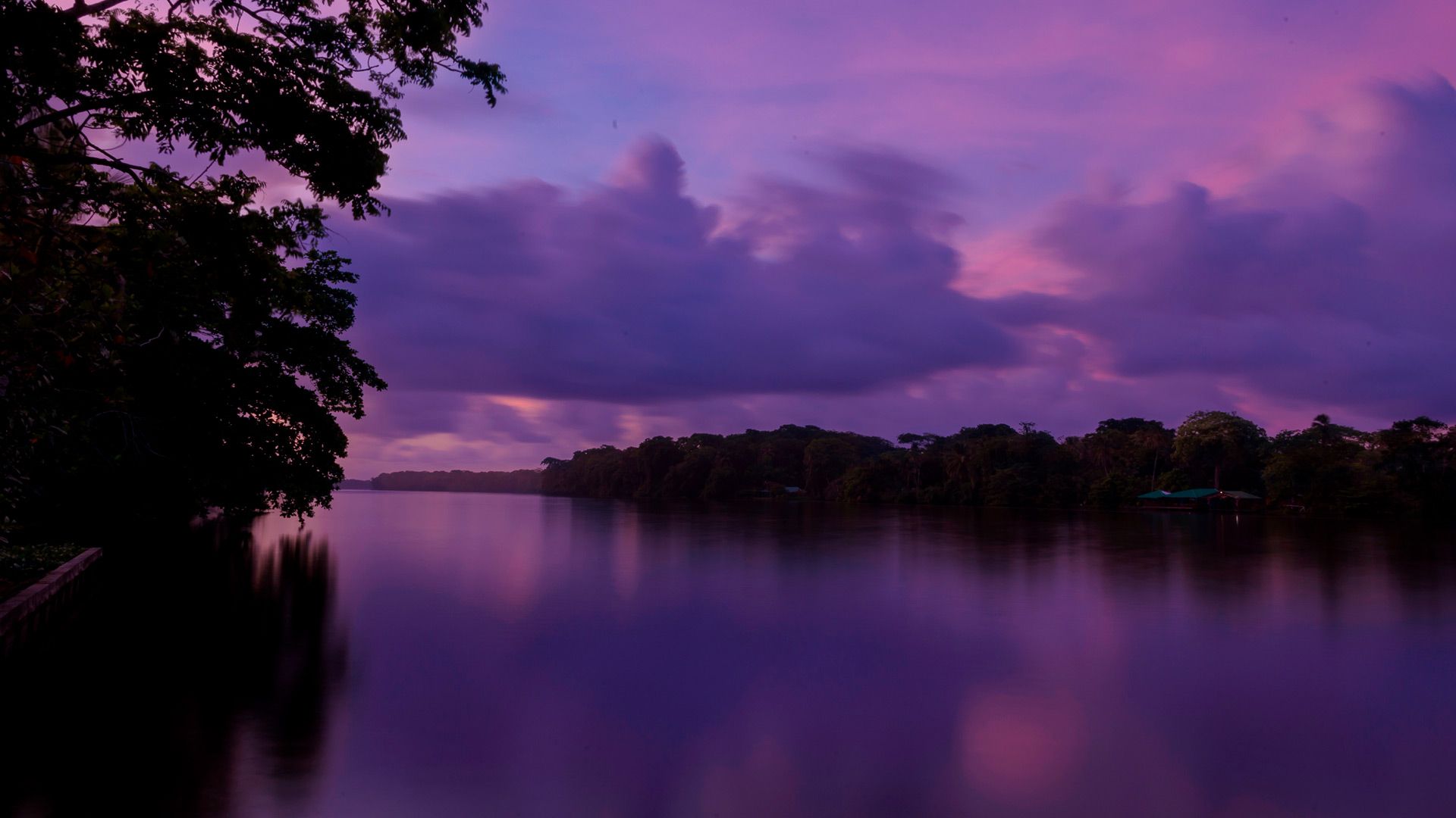 Tortuguero image 8955