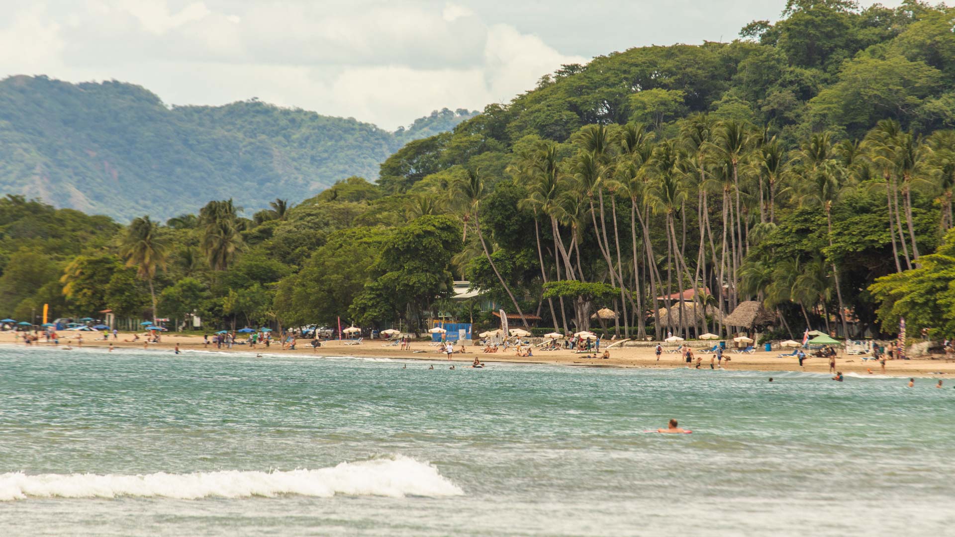 Tamarindo image 8994