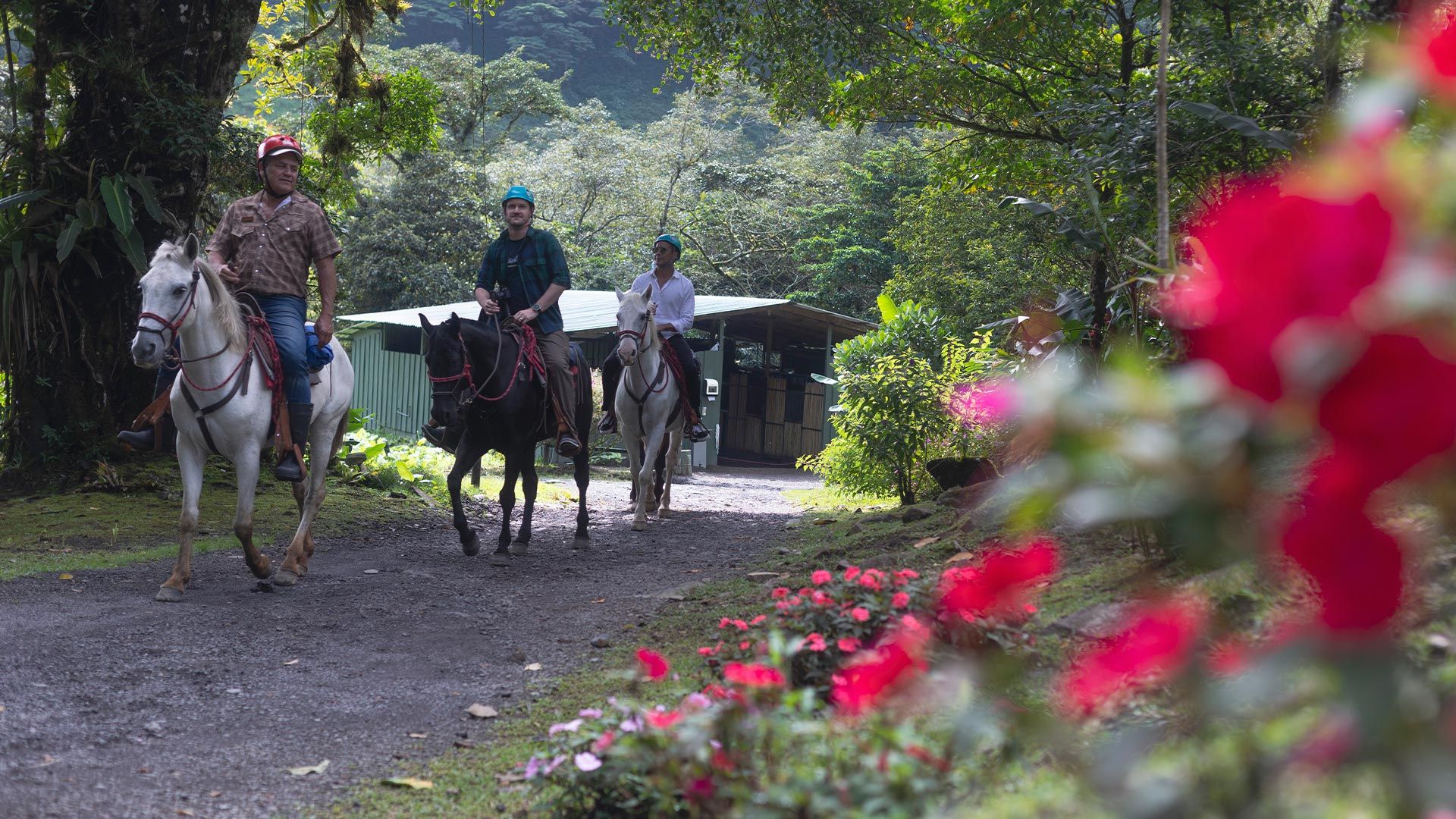 El Silencio Lodge and Spa image 9118
