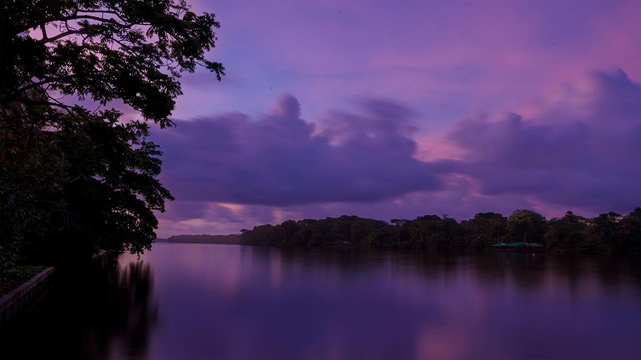 Manatus Hotel image 9221