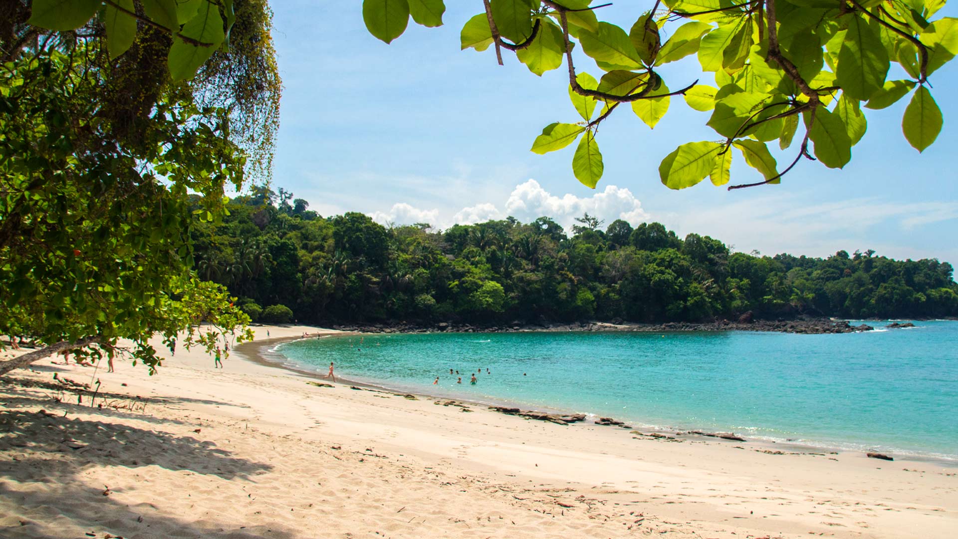 Manuel Antonio image 9360
