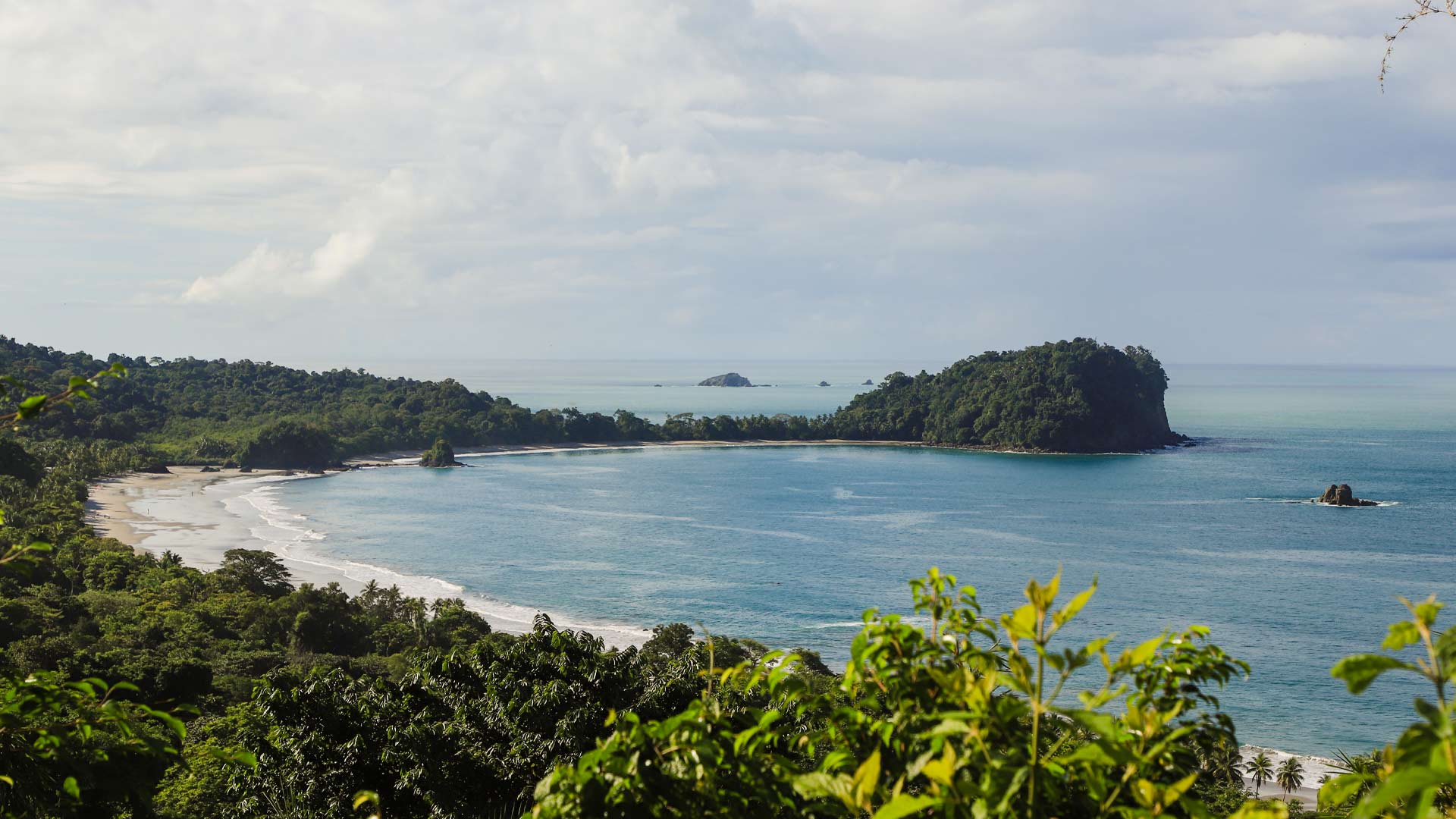 Manuel Antonio image 9363