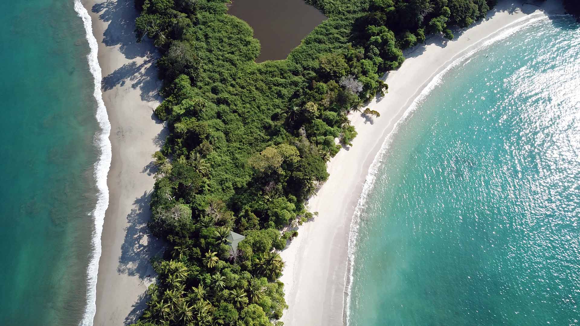 Manuel Antonio image 9361