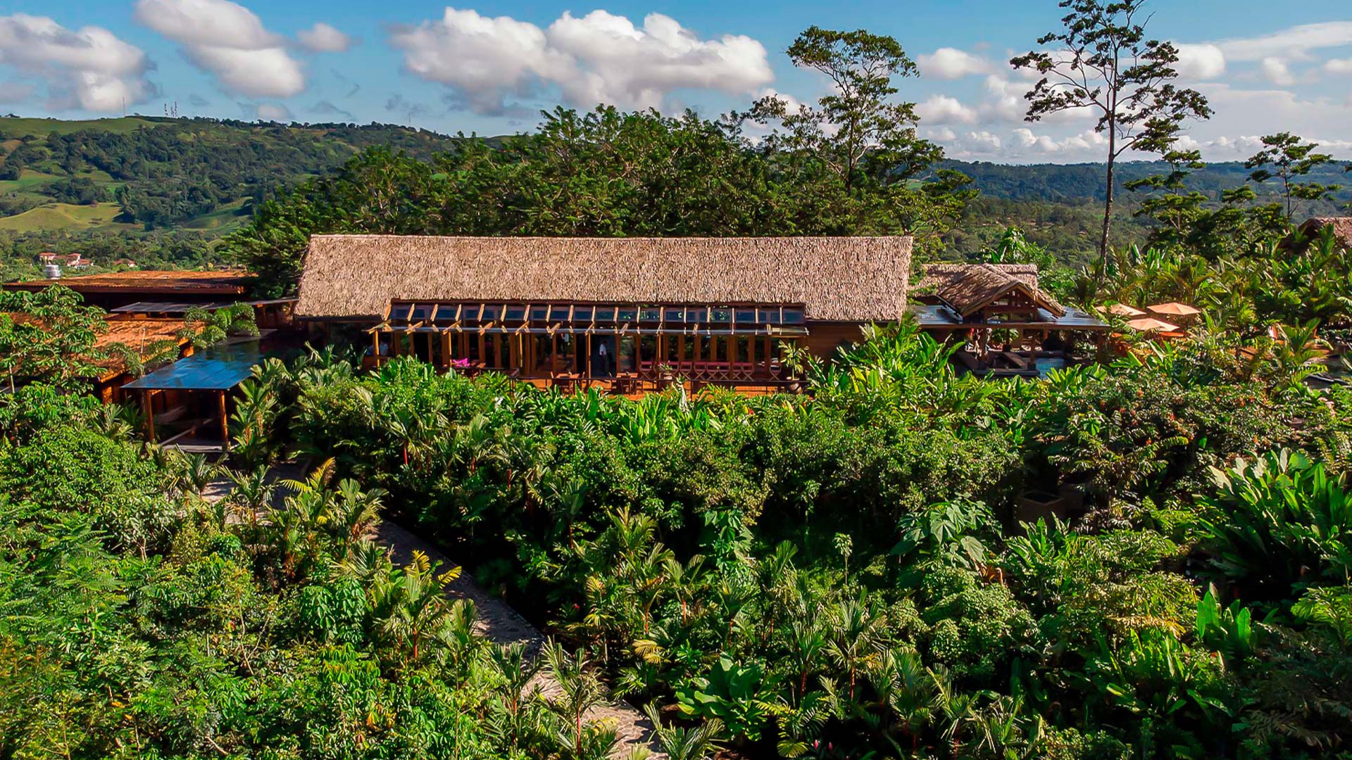 Amor Arenal Hotel image 9403