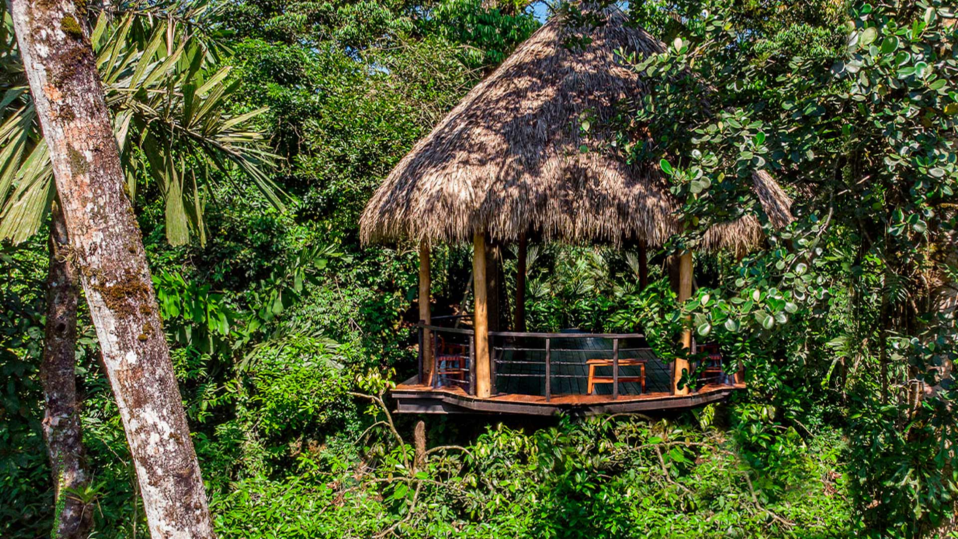 Amor Arenal Hotel image 9417