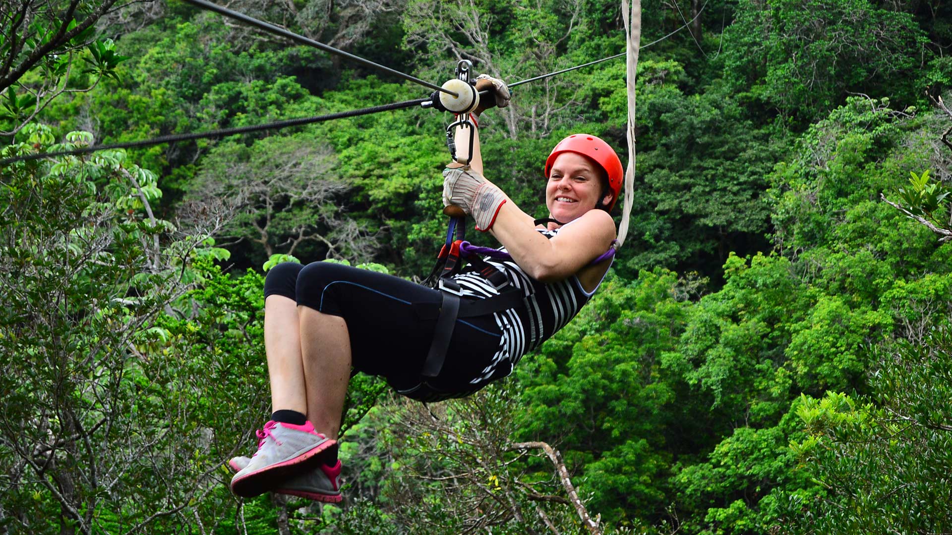 Canopy Zip Line image 10239