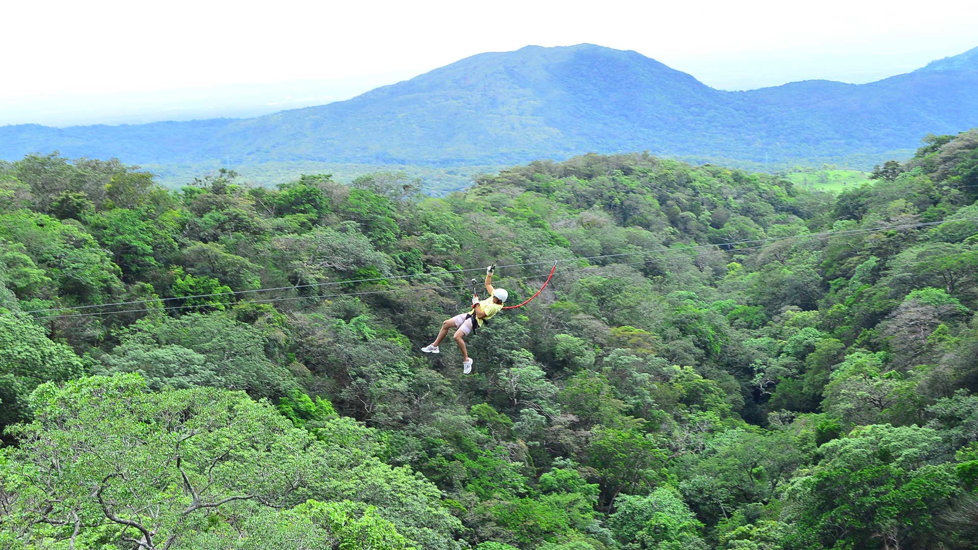 Canopy Zip Line image 10240