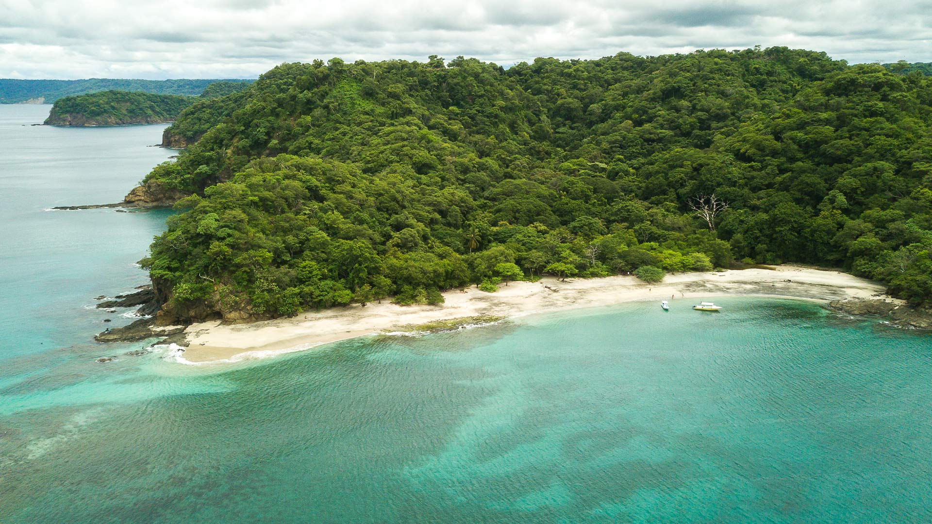 Papagayo image 10258