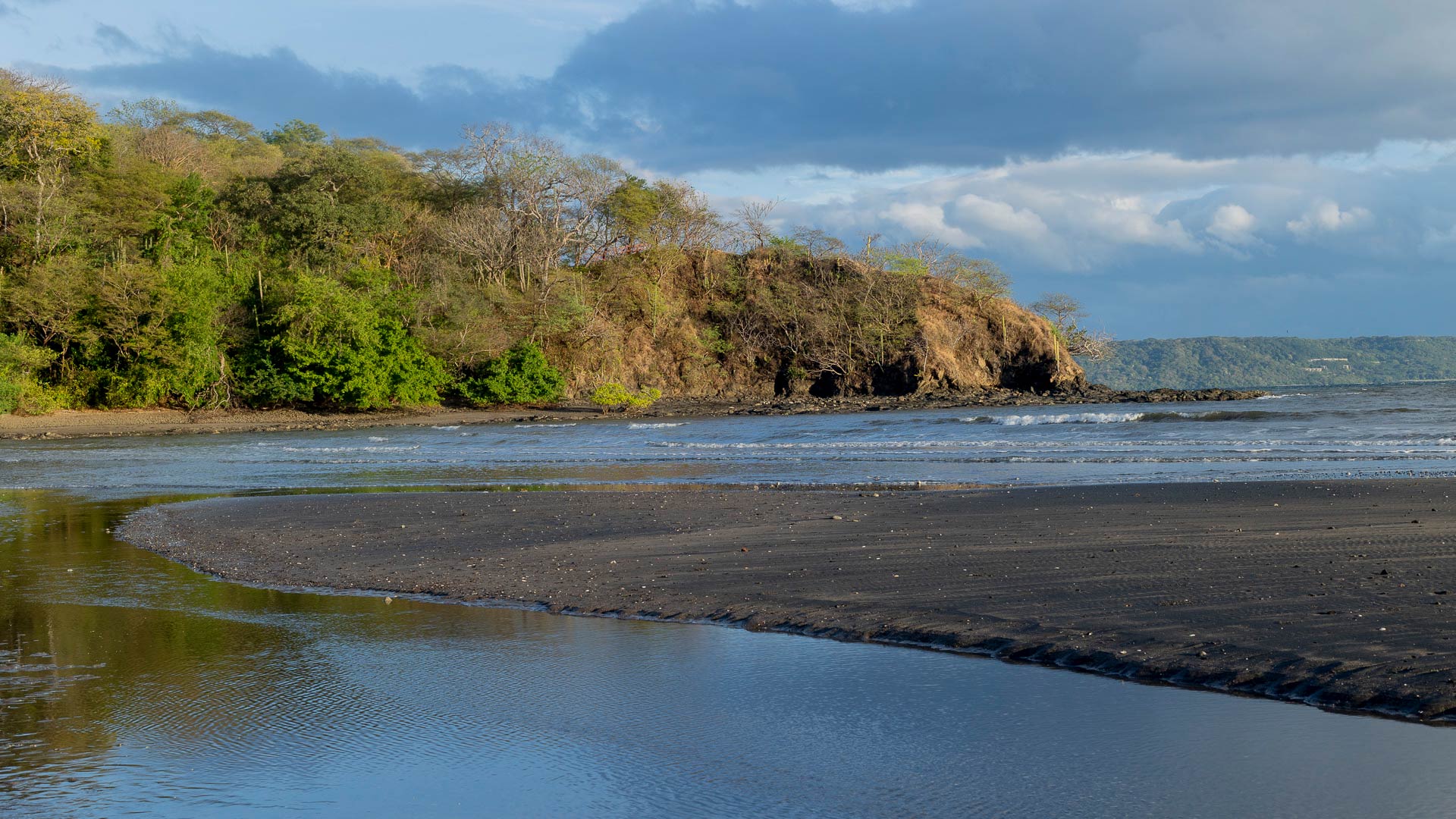 Papagayo image 10259