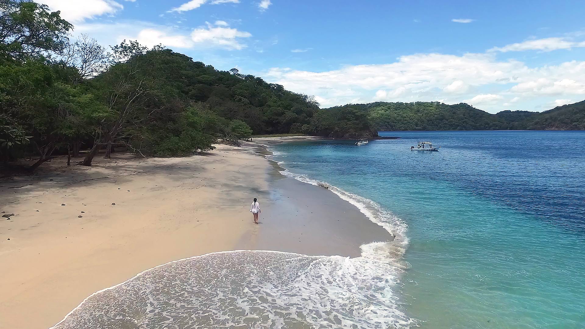Papagayo image 10262