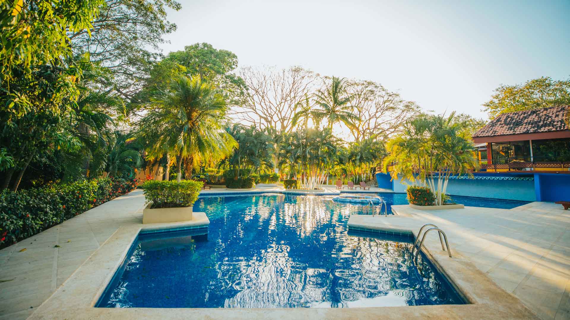 Golden Palms image 10373