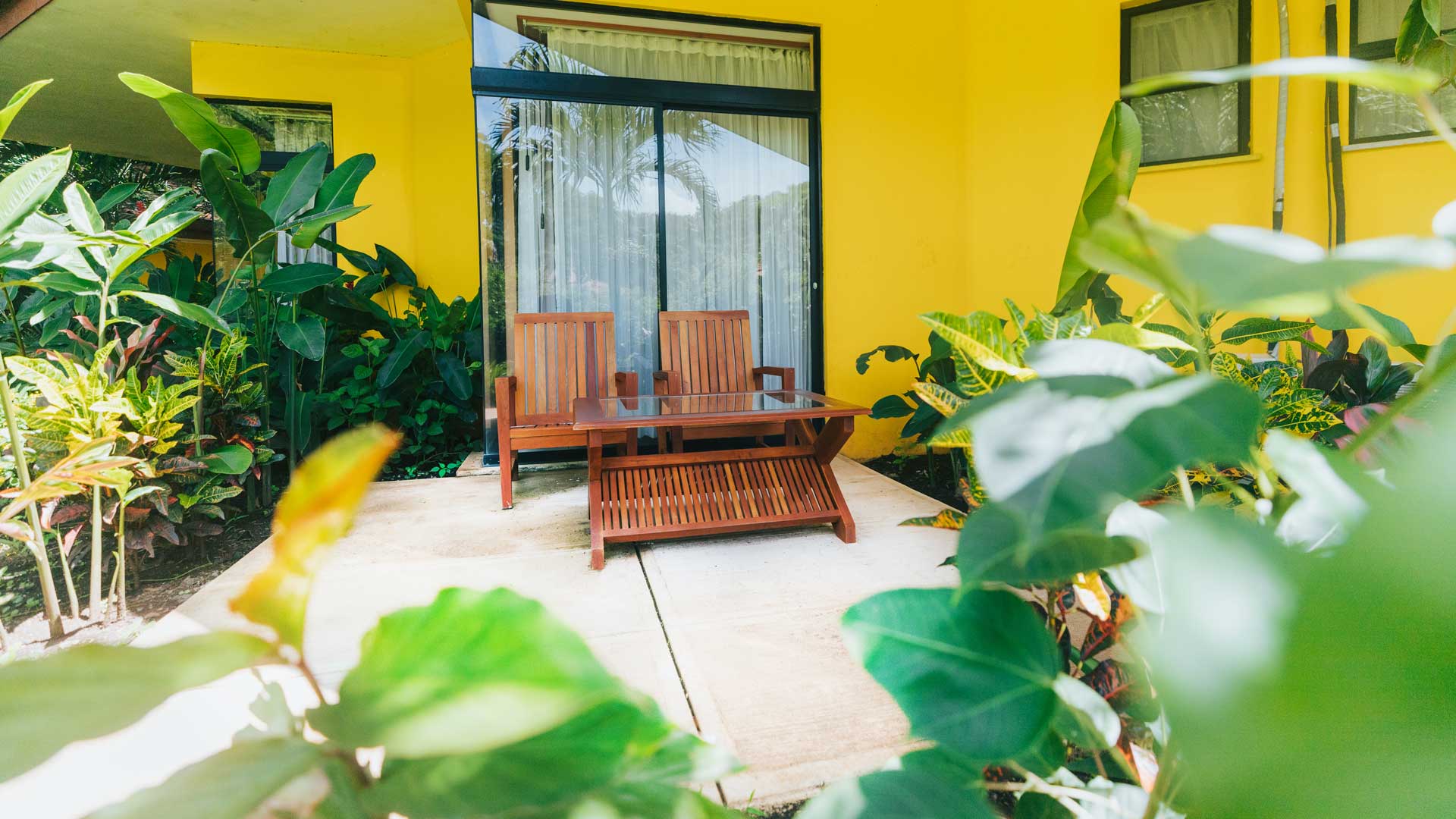 Golden Palms image 10380