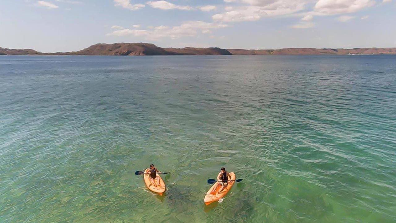 Occidental Papagayo image 10393