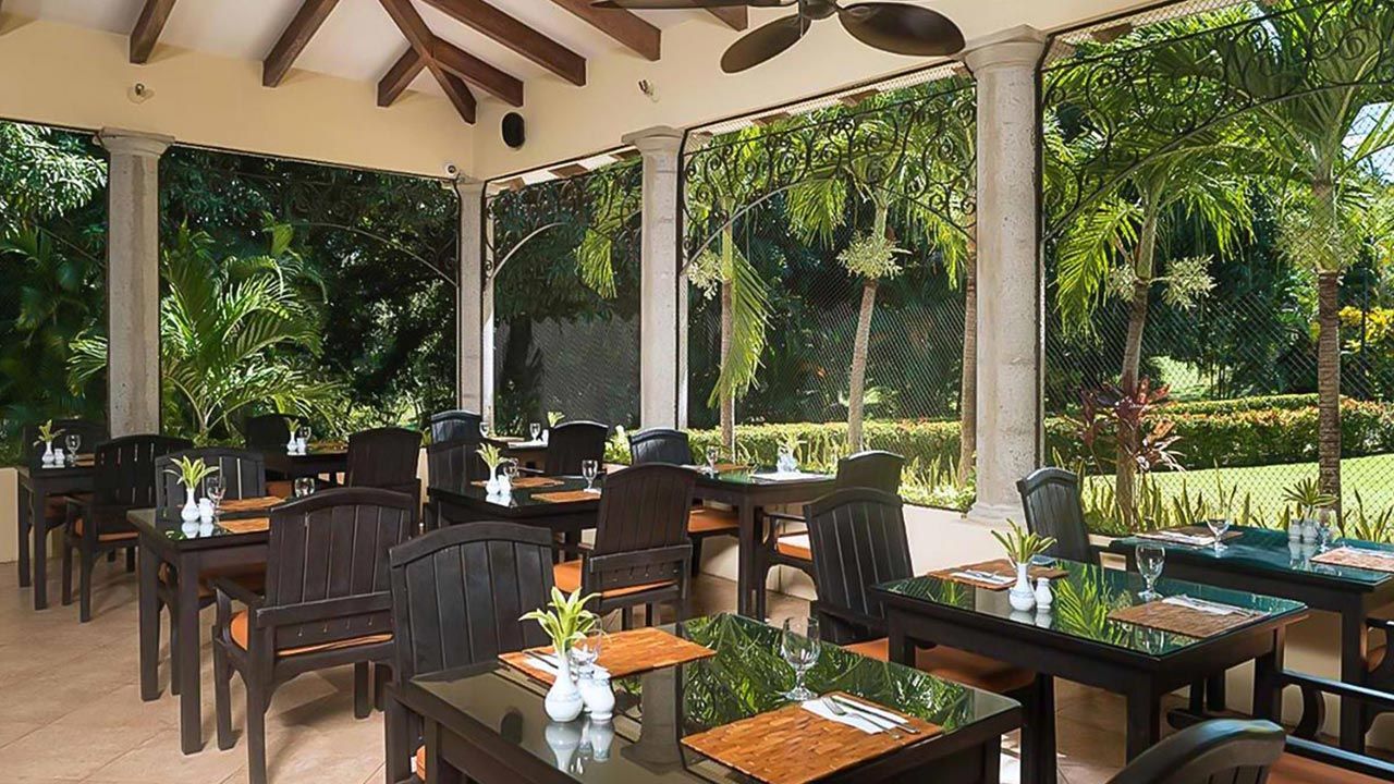 Occidental Papagayo image 10396