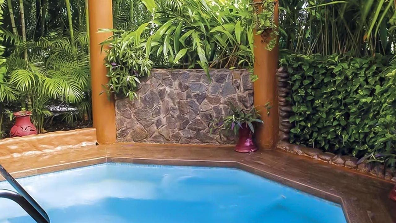 Occidental Papagayo image 10395