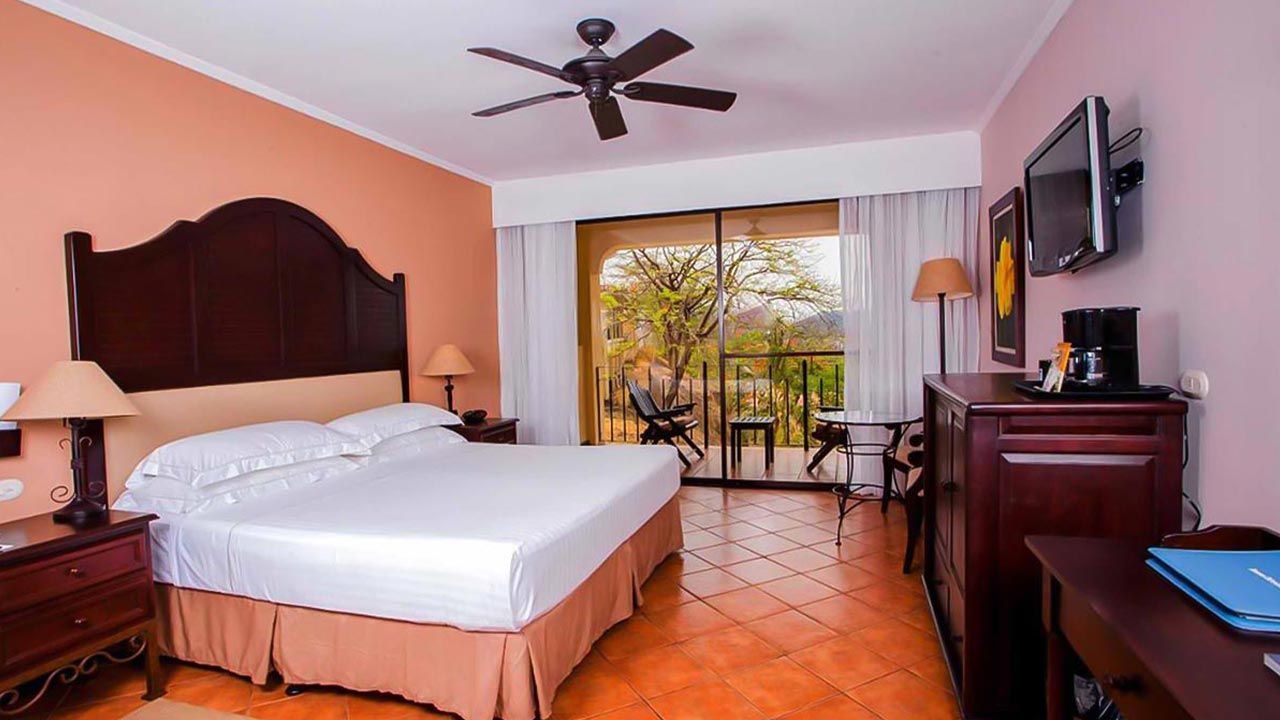 Occidental Papagayo image 10399