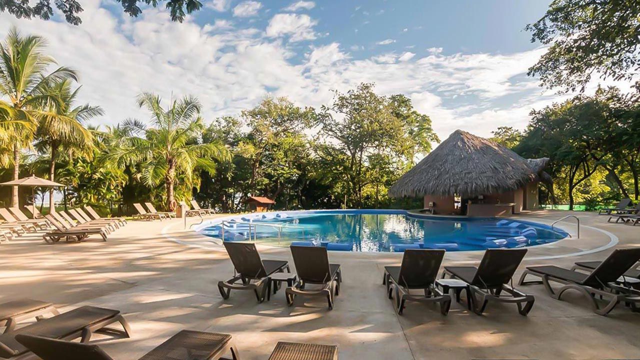 Occidental Papagayo image 10402