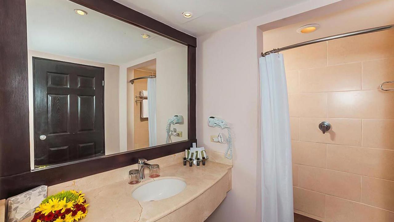 Occidental Papagayo image 10406