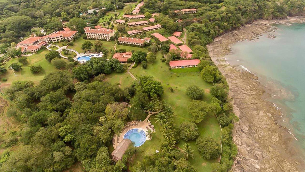 Occidental Papagayo image 10416